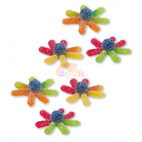 Fini poulpe acide Sachet de 250 bonbons